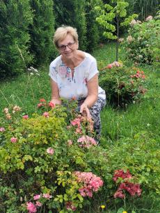 Powiększ zdjęcie: Pani Bronisława Śliwa z Domu Dziennego Pobytu z ulicy Sterniczej 8a.