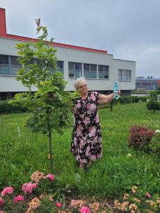 Powiększ zdjęcie: Pani Rozalia Kieszek-Dybka z Domu Dziennego Pobytu z ulicy Sterniczej 8a.