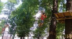 Powiększ zdjęcie: Park linowy. Na zdjęciu skupisko wysokich drzew liściastych, między którymi są umieszczone drewniane przeszkody zabezpieczone linami. Na głównym planie chłopiec pokonuje przeszkody w parku linowym. 