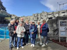 Powiększ zdjęcie: Seniorzy z Klubu SIXT Wam na wycieczce w ZOO w Chorzowie