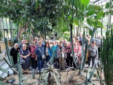 Powiększ zdjęcie: Seniorzy z OWOS w Palmiarni przy Pałacu w Mosznej