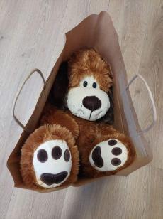 Powiększ zdjęcie: Zdjęcie przedstawia brązowego, pluszowego misia leżącego w torbie na prezenty